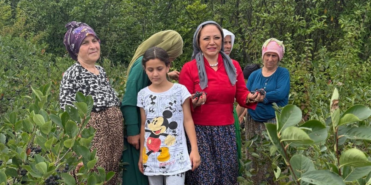 Aronya Akçaabat’tan dünyaya açılıyor