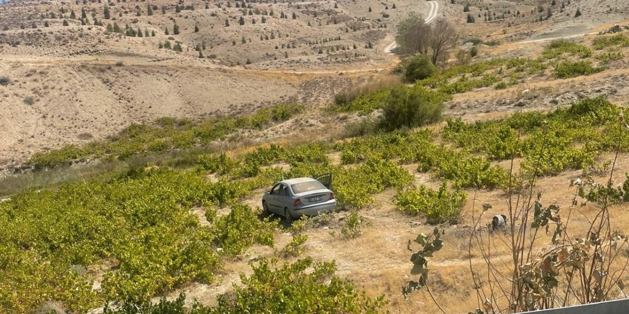 Malatya’da kontrolden çıkan araç üzüm bağına uçtu: 2 yaralı