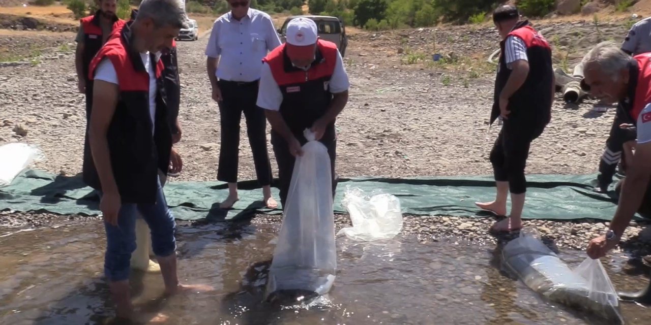 Elazığ’daki su kaynaklarına 5 milyon 786 bin yavru sazan bırakılacak