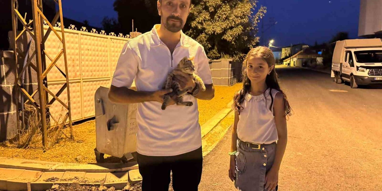 Yüksekova’da baba-kız yaralı kediyi hayata döndürdü