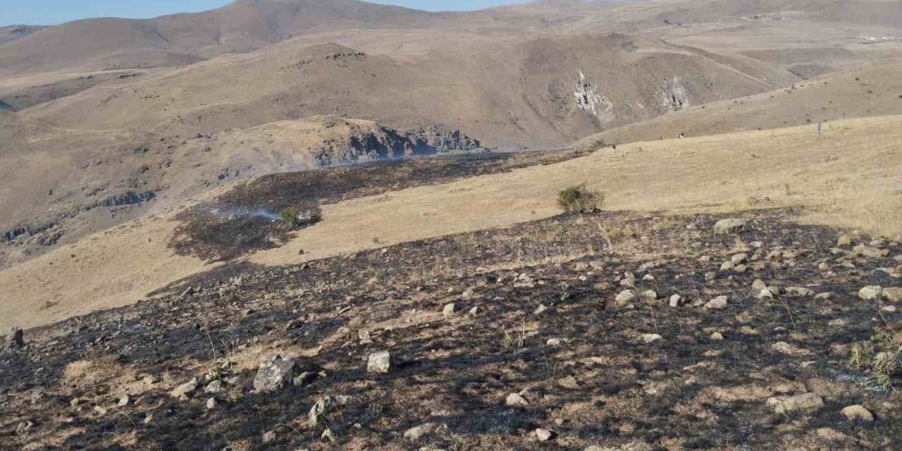 Erzurum’da korkutan ot yangını