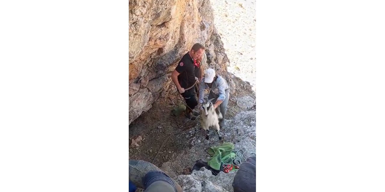 Malatya’da dağlık alanda mahsur kalan keçiler kurtarıldı