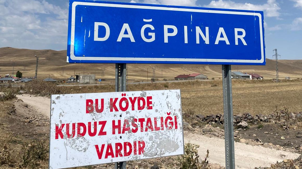 Kars'ta kuduz vakası görüldü