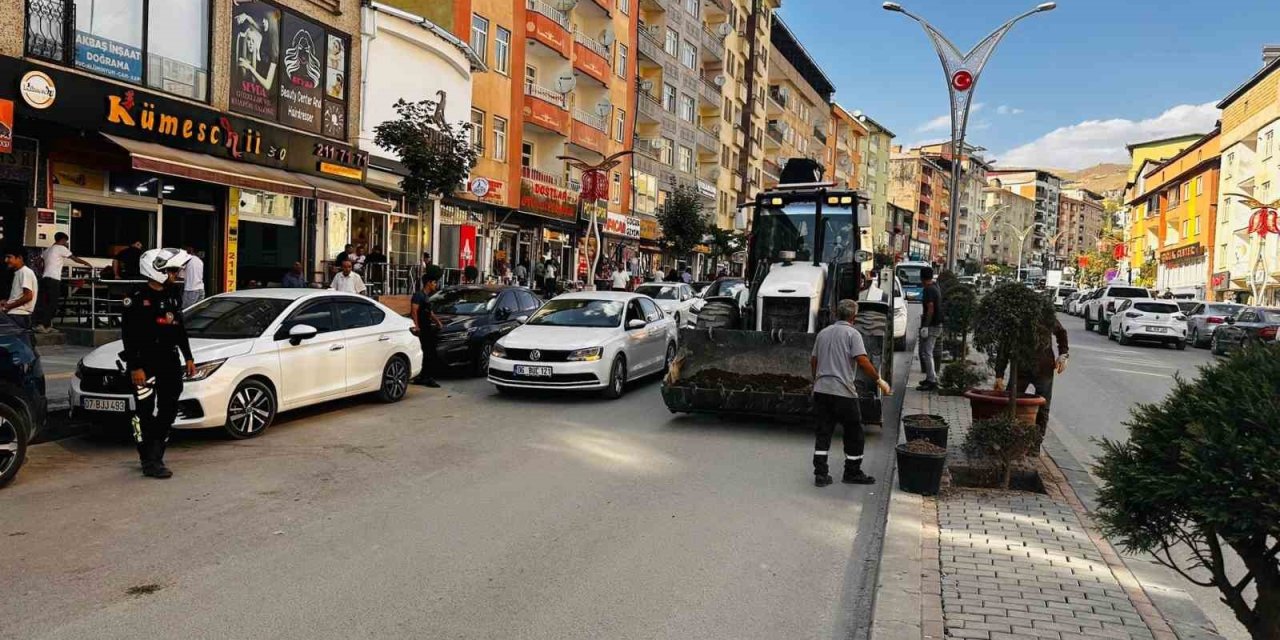 Hakkari’de 235 ağaç toprakla buluştu