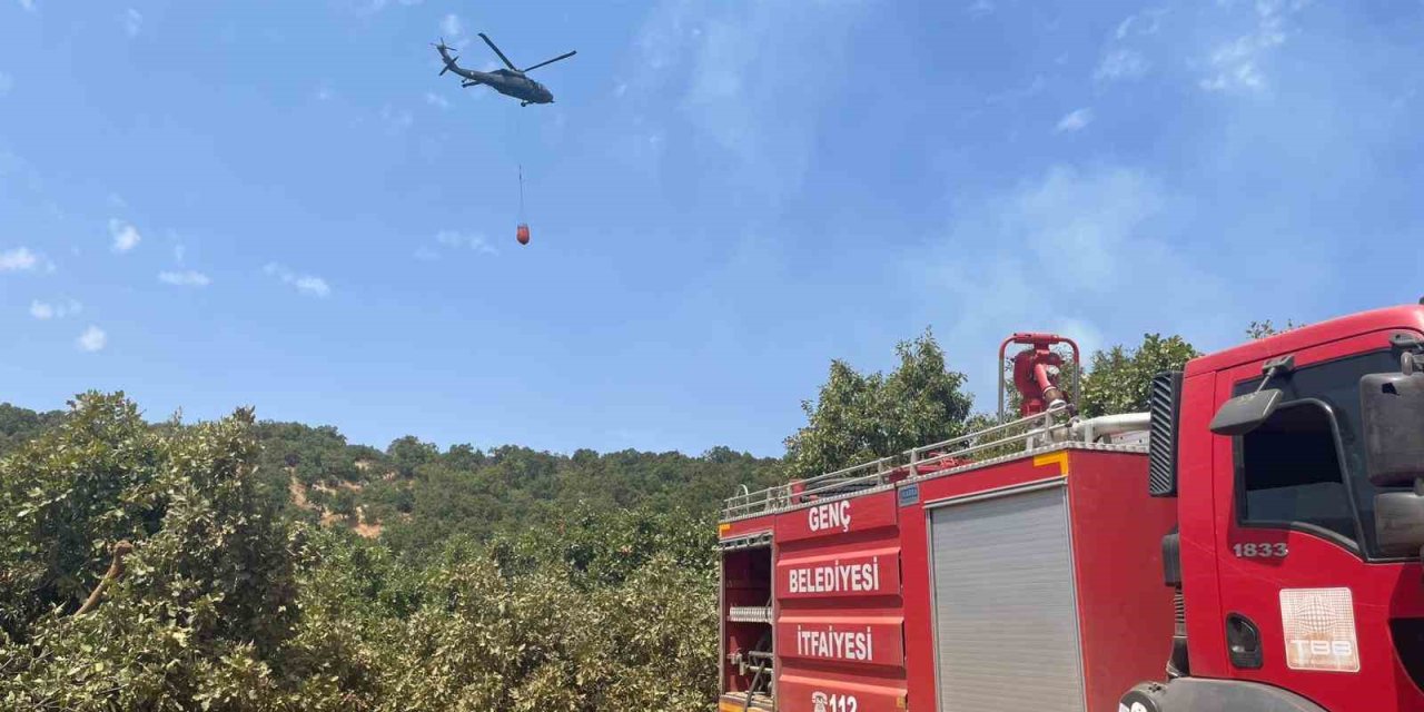 Bingöl’de orman yangını: Havadan karadan müdahale sürüyor