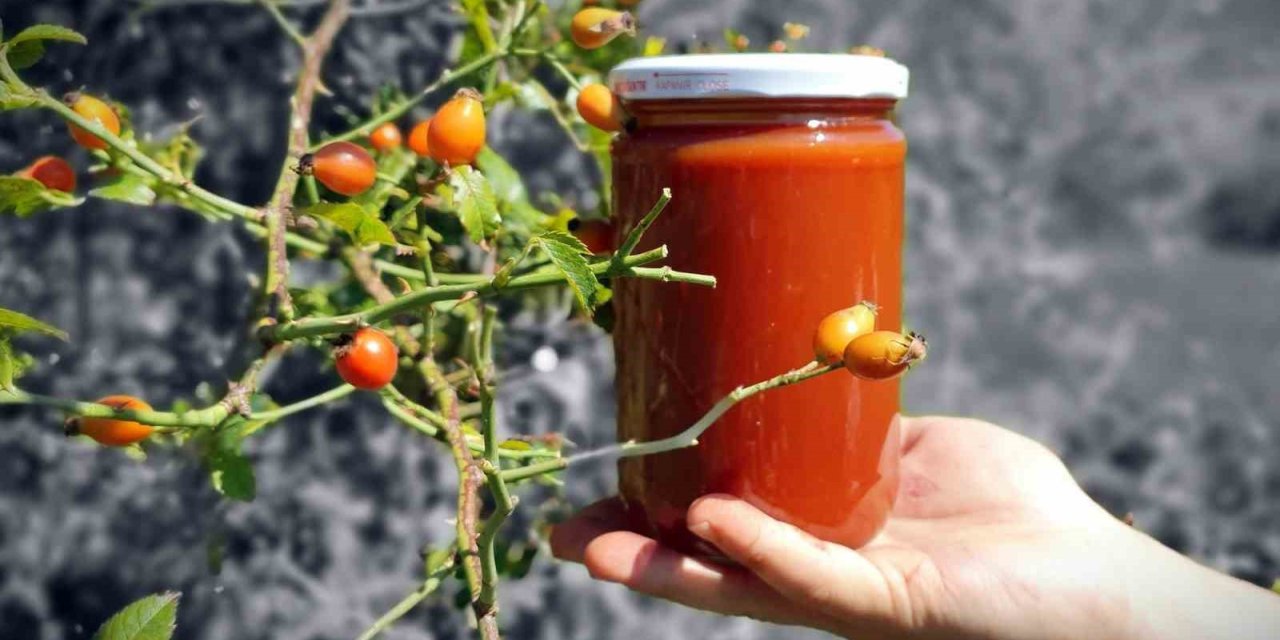 Zorlu arazilerden toplanan kuşburnu marmelat olarak kavanozlara giriyor