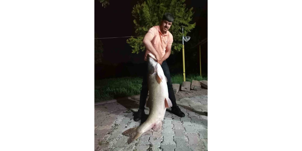 Elazığ’da baba-oğul 75 kiloluk dev turna balığı yakaladı