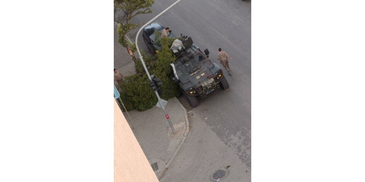 Kovancılarda ağaç dalları kırıldı