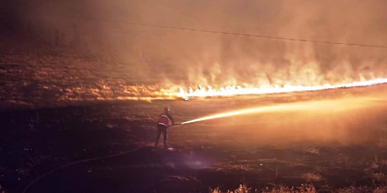Çaldıran’da anız yangını
