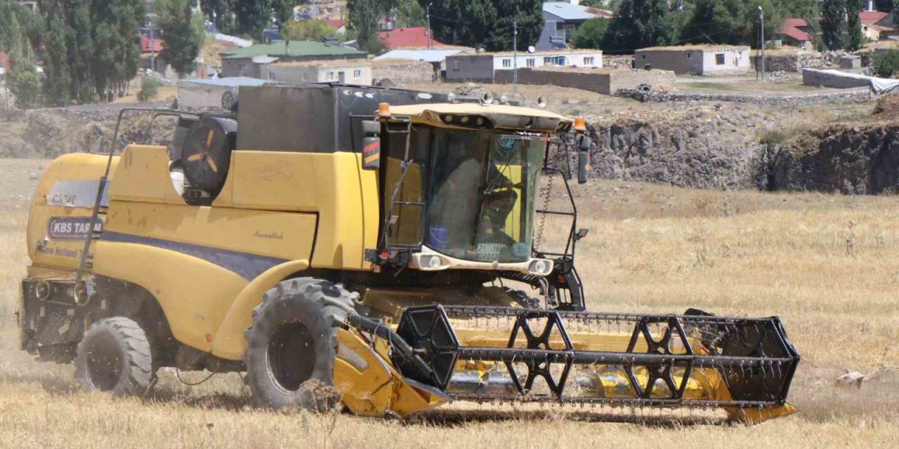 Diyadin’de hasat mevsimi başladı