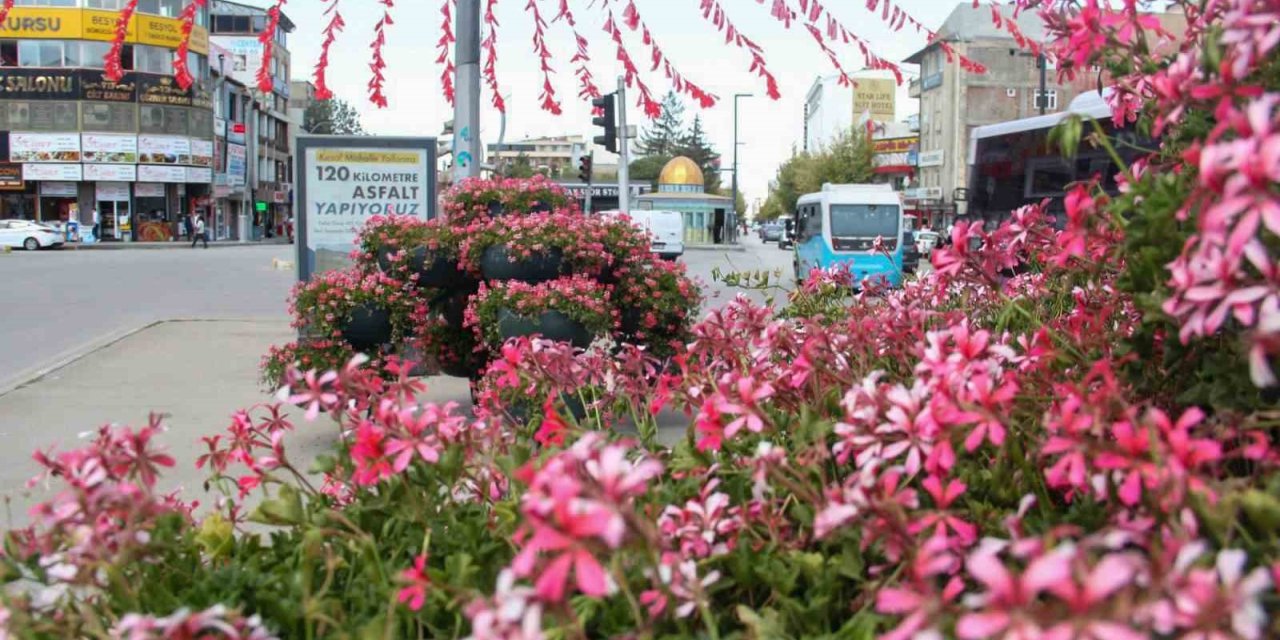Van Büyükşehir Belediyesi şehri sardunyalarla süslüyor