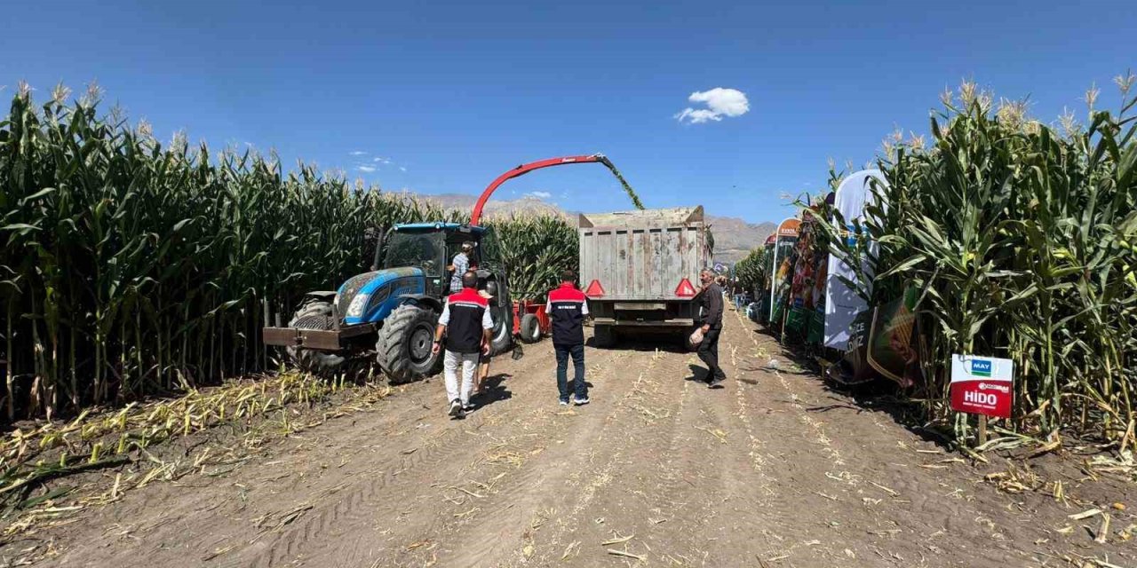 Erzincan’da silajlık mısırın hasadı sürüyor