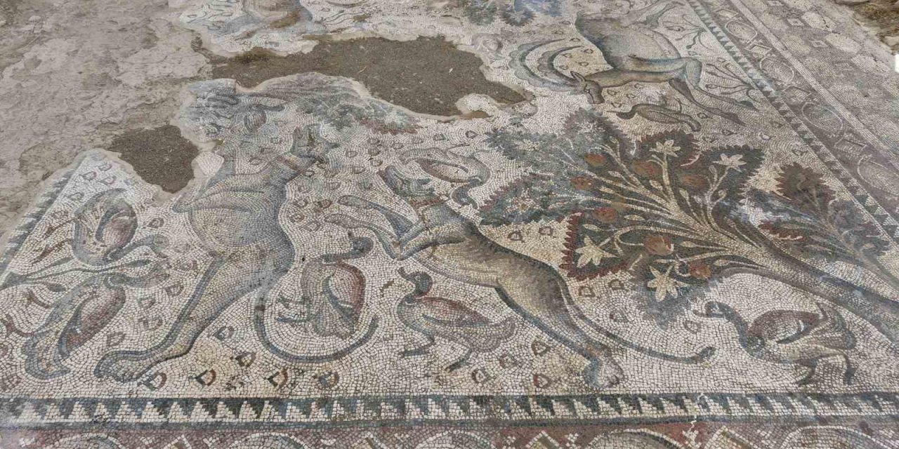 Hayvan figürleriyle dolu bin 700 yıllık Roma mozaiği, burjuva yaşamının izlerini taşıyor