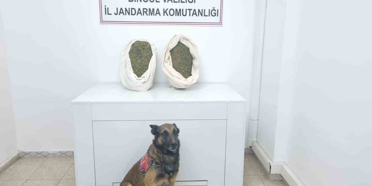 Bingöl’de jandarma ekipleri 10 kiloya yakın esrar ele geçirdi