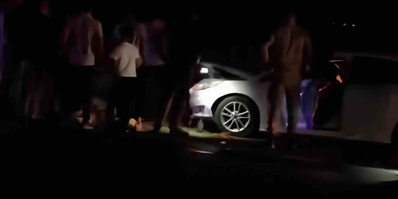 Van’da otomobil sürüye çarptı: 8 koyun telef oldu