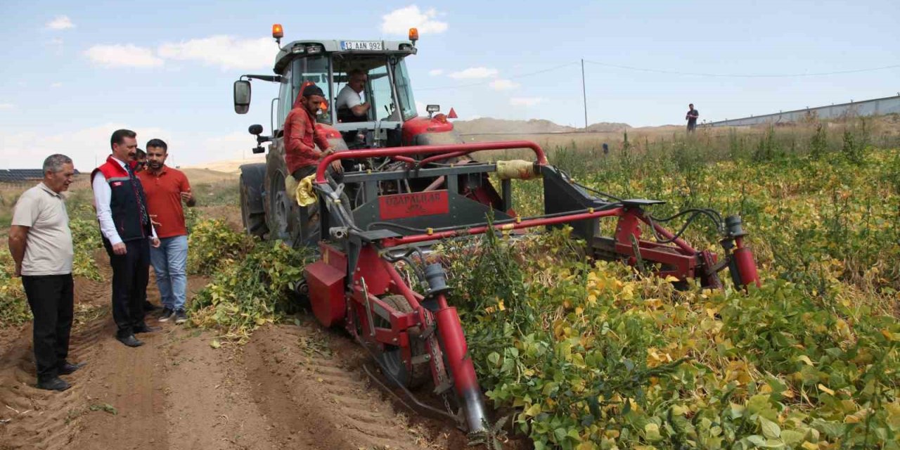 110 bin dekar alana ekilen kuru fasulyenin hasadına başlandı