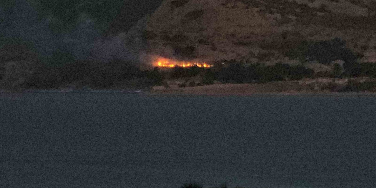 Tatvan’da orman yangını