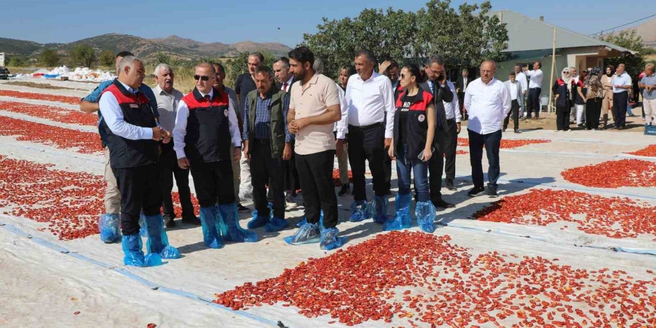 Elazığ’da 100 bin 352 ton domates rekoltesi bekleniyor