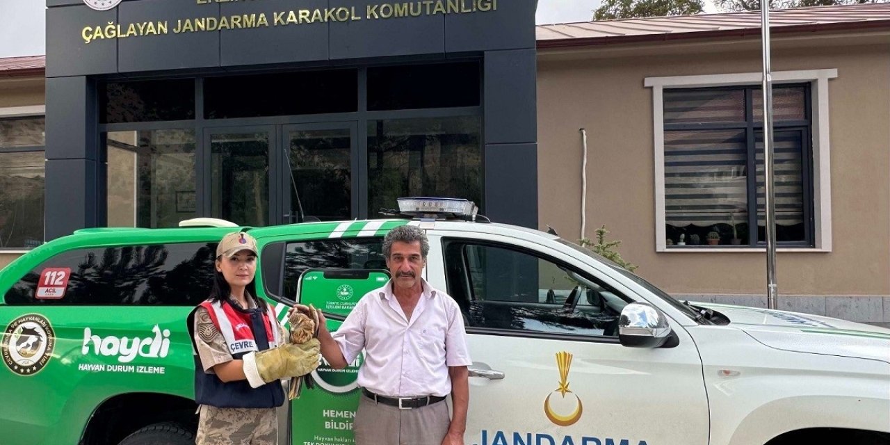 Yaralı Şahin’e jandarmadan şefkat eli