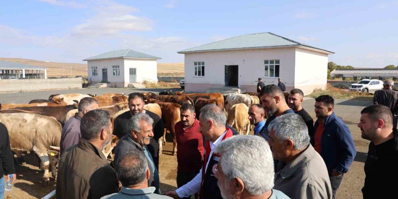 Kars Hayvan Pazarı açıldı