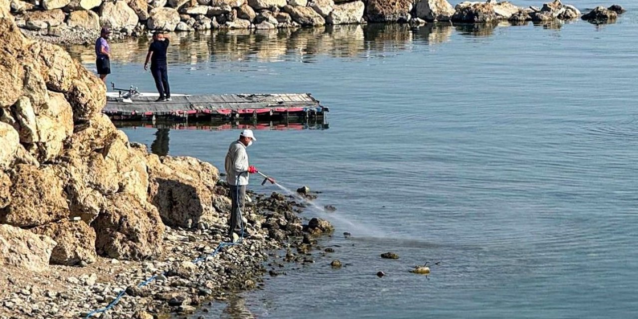 Van’da vektörle mücadele seferberliği