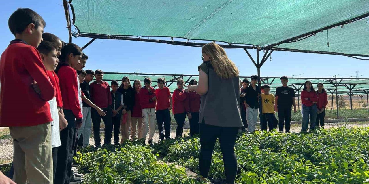 Van’da öğrenciler doğa bilinci için fidan dikecek