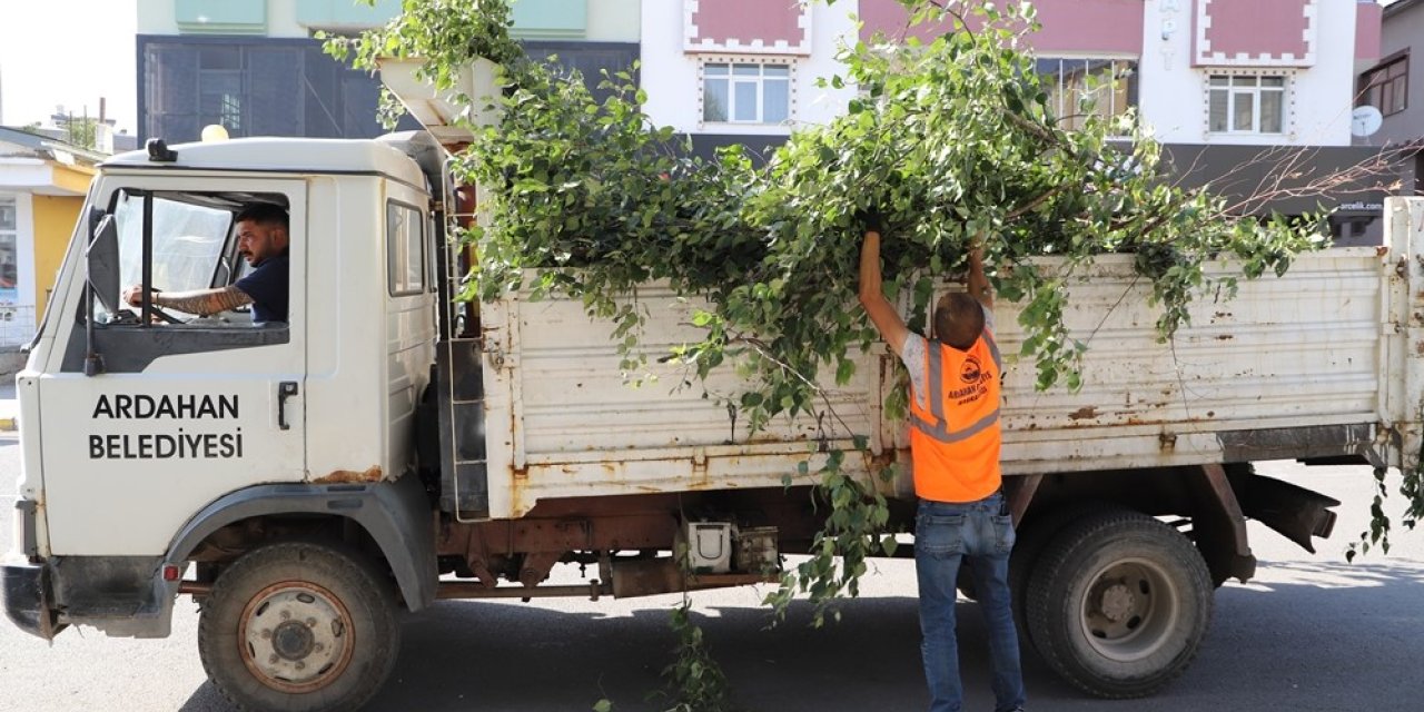 Ardahan Belediyesi’nden ağaç budama faaliyeti