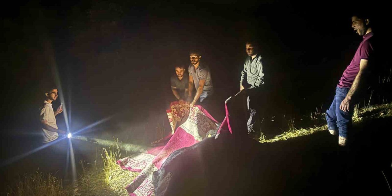 Derecik’te dağda rahatsızlanan inek, halı içerisinde 1 kilometre taşındı