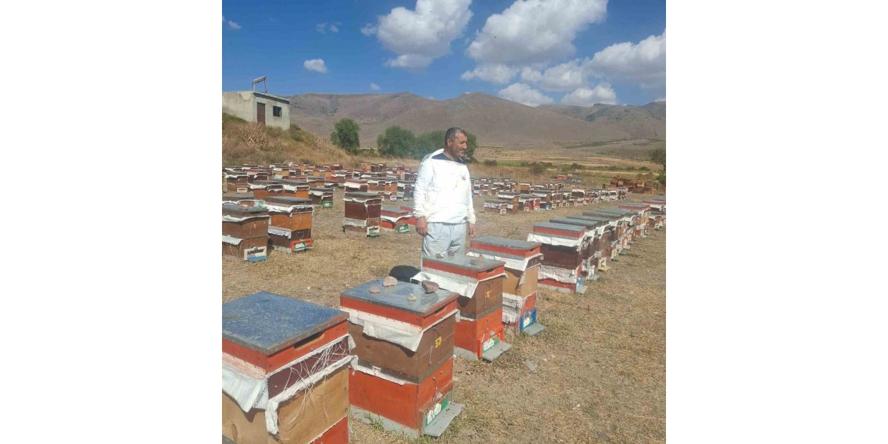 Erzurum’un Çat ilçesinde arıcıların ayı nöbeti