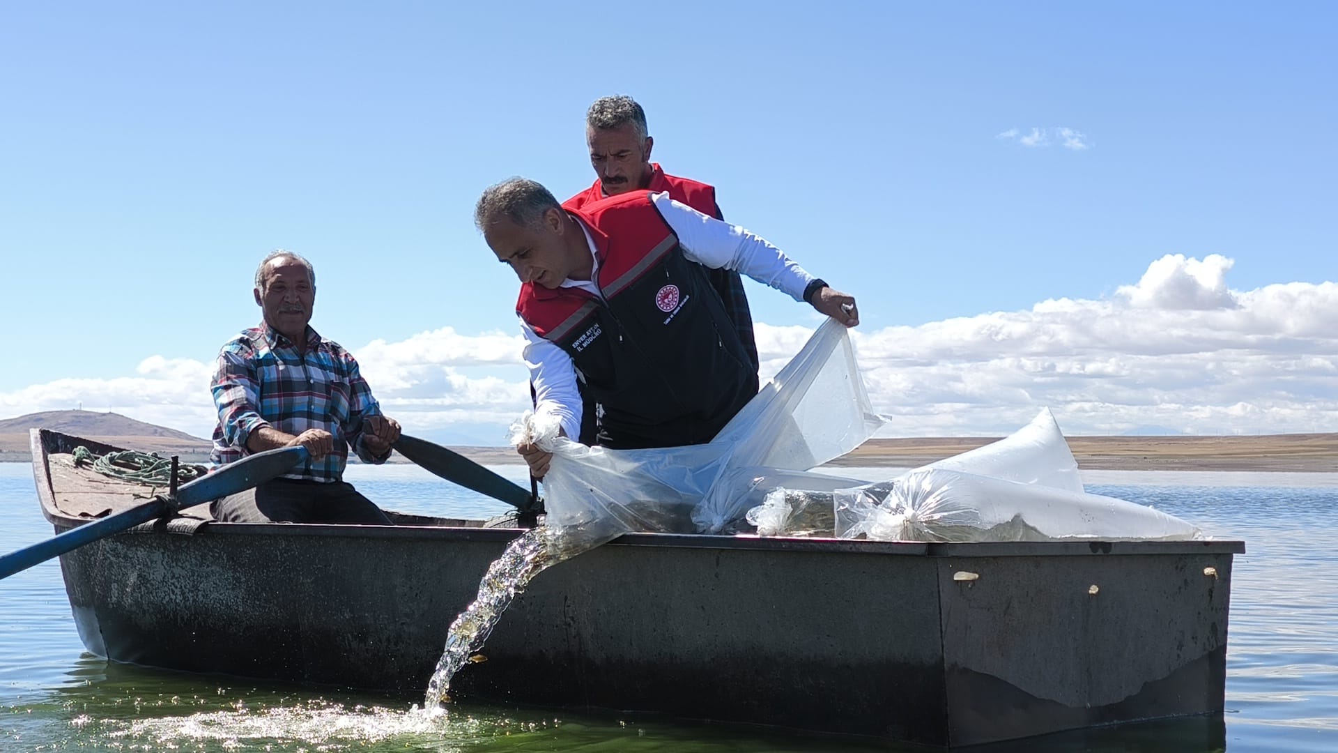 Kars'taki göllere 500 bin yavru sazan bırakıldı