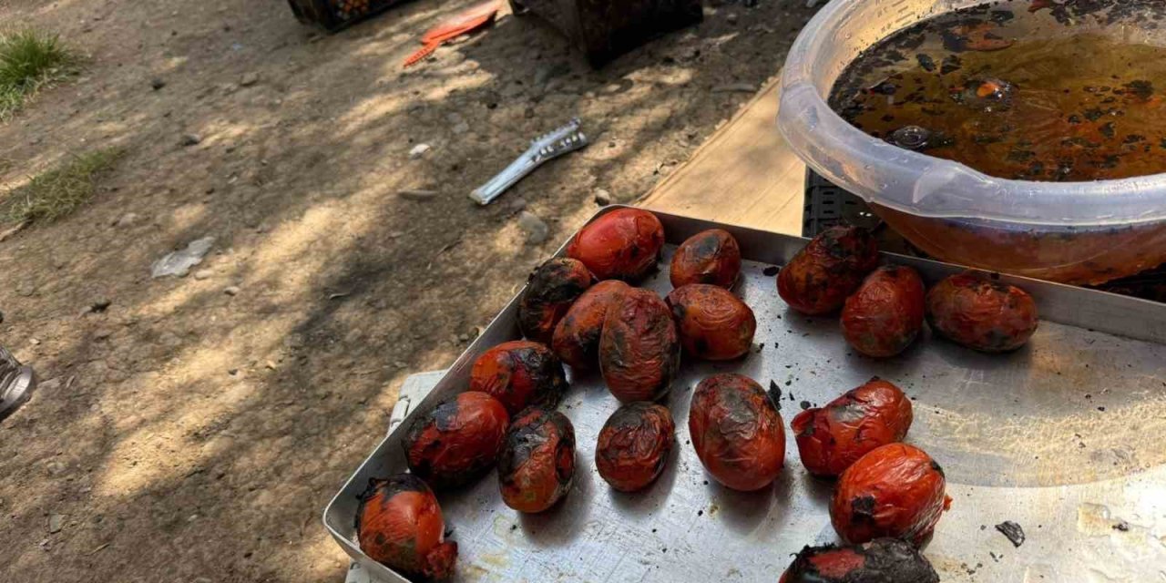 Ağrı’da kış hazırlıkları başladı