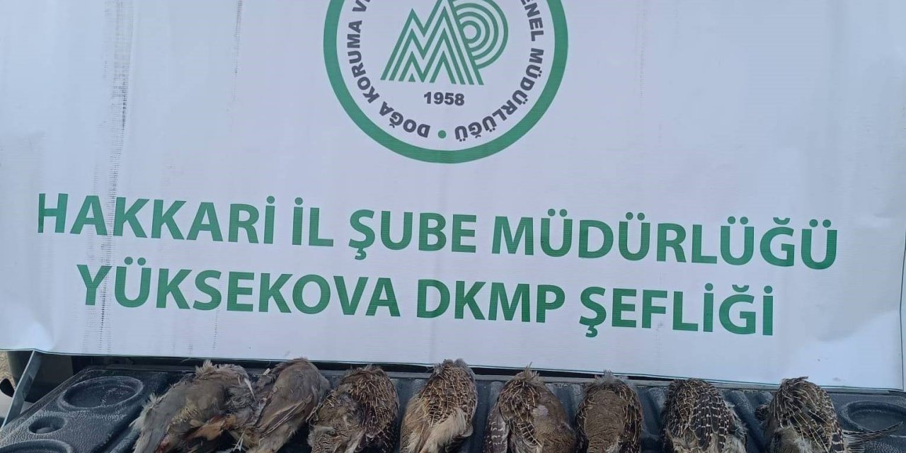 DKMP ekipleri kaçak keklik avlayan şahsa cezai işlem uyguladı
