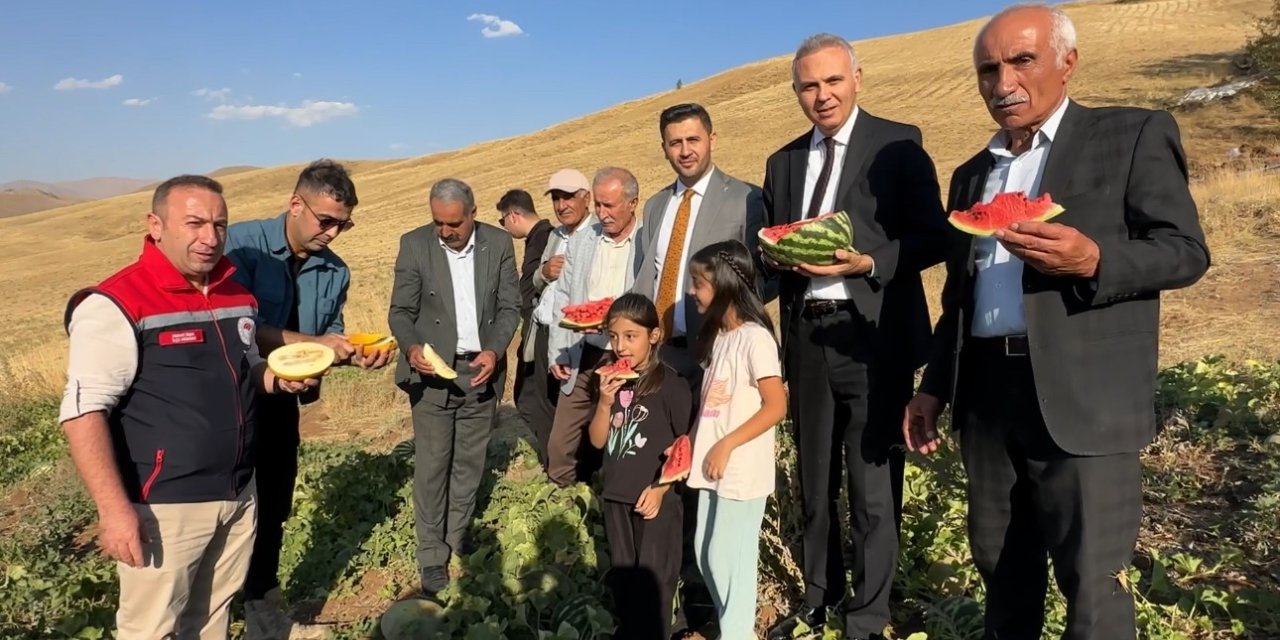 Yüksekova’da mısır, karpuz ve kavun hasadı yapıldı