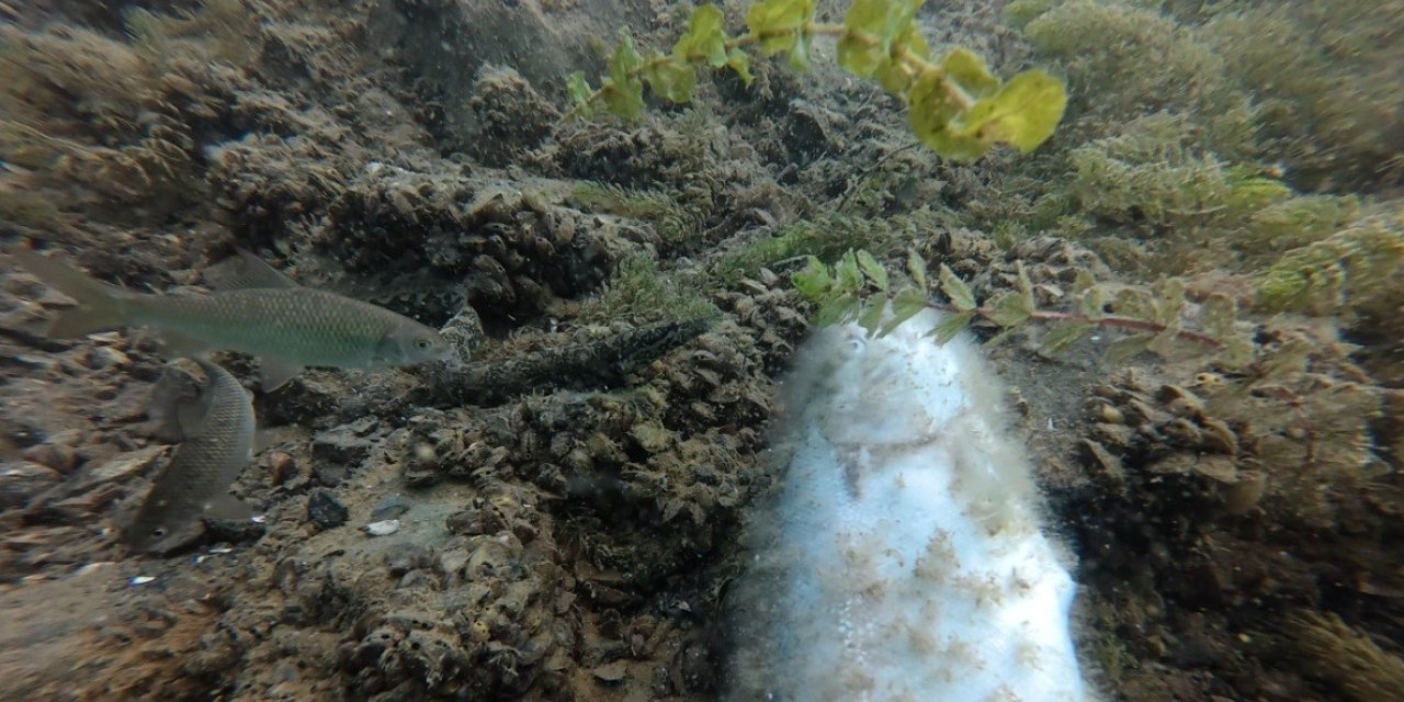 Elazığ’da su altı harikaları kayda alınıyor
