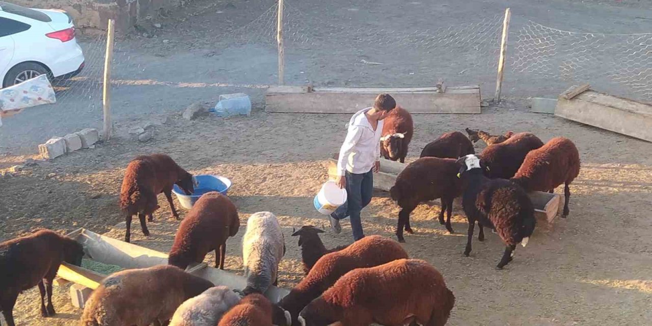 Patnos’ta besiciler kış hazırlığını sürdürüyor