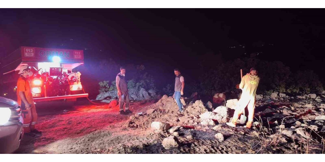 Bingöl’de çıkan orman yangınları kontrol altına alındı