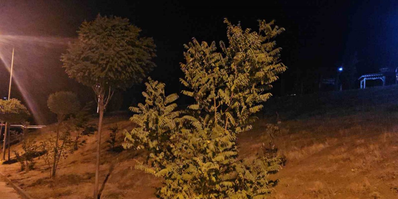 Elazığ’da kuvvetli rüzgar etkisini sürdürüyor