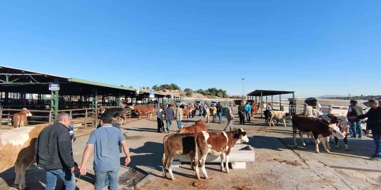 Malatya’da kapalı olan hayvan pazarı yeniden açıldı
