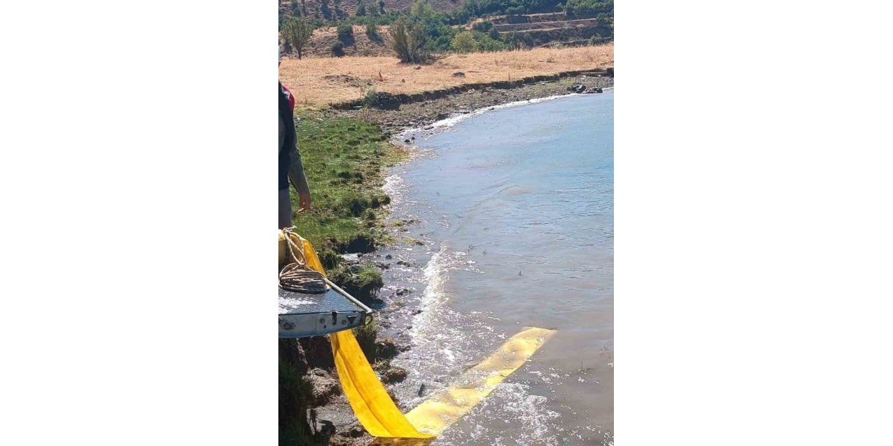 Karakoçan’da göletlere yavru balıklar bırakıldı