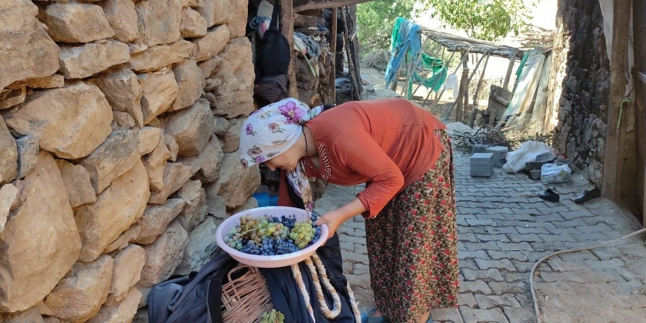 Uzun kış gecelerinde tüketmek için meyveler kurutuluyor