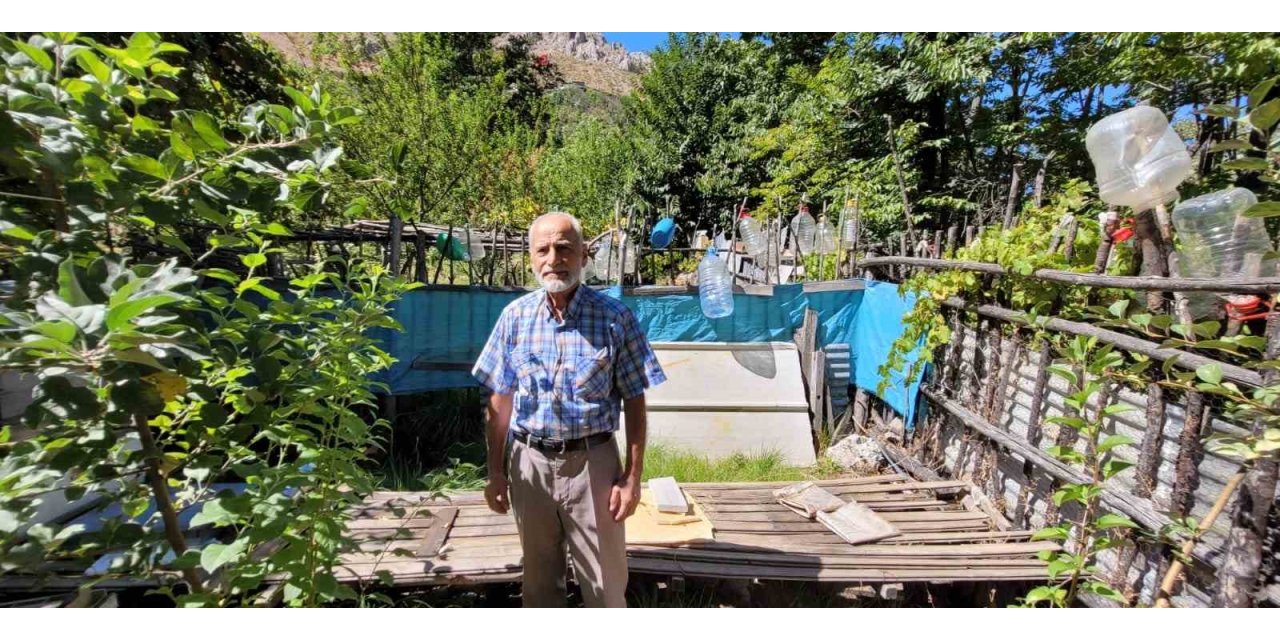 Ev ve bahçelere dadanan ayıları yetkililere şikâyet etti