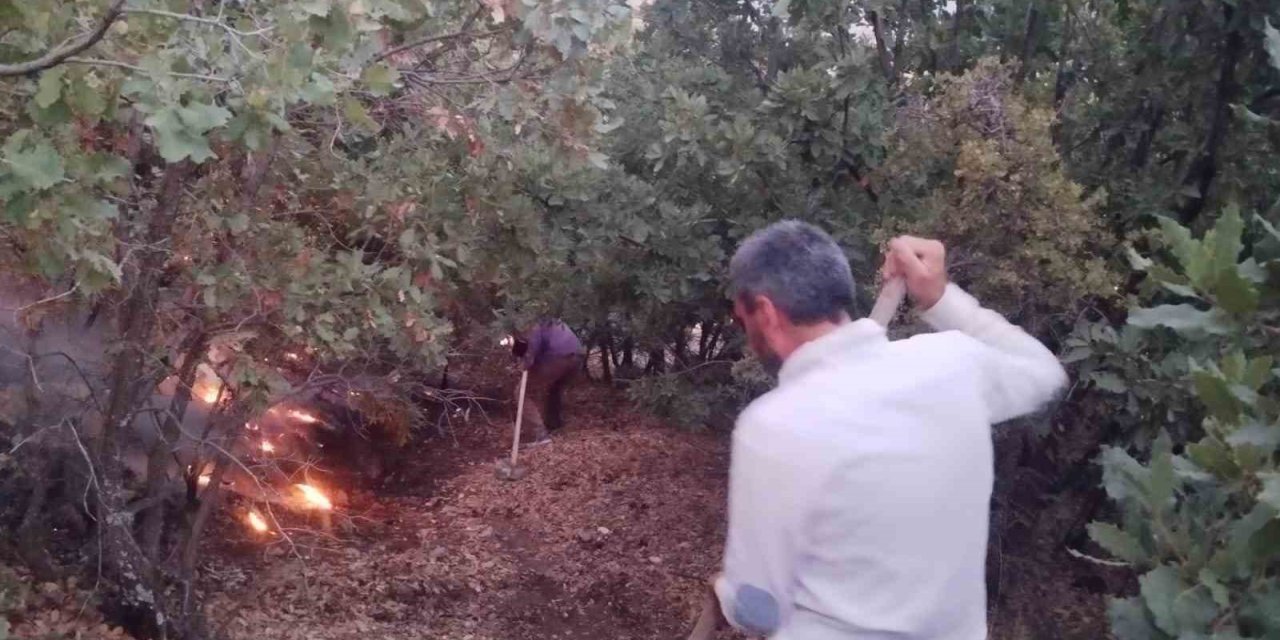 Elazığ’da ağaçlık alanda yangın