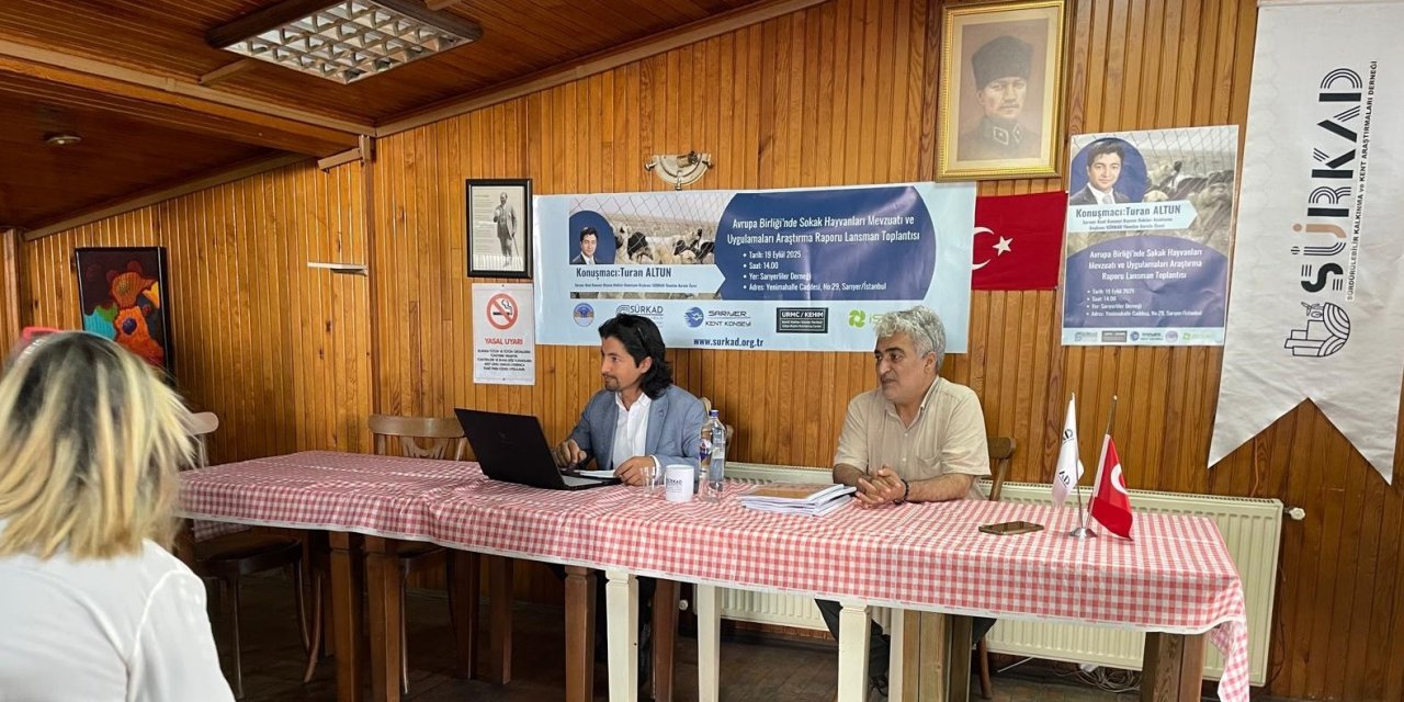 SÜRKAD’dan sokak hayvanları mevzuatı ve uygulamaları raporu