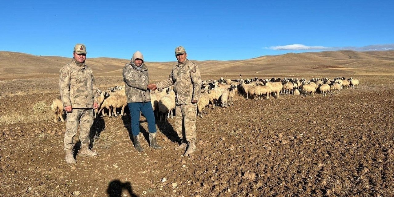 Kaybolan hayvanlar jandarma tarafından bulundu