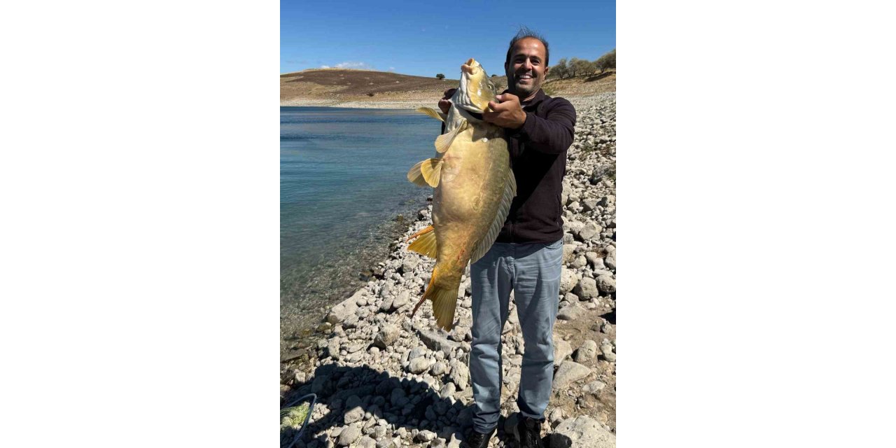 Elazığ’da 21 kiloluk dev sazan avlandı