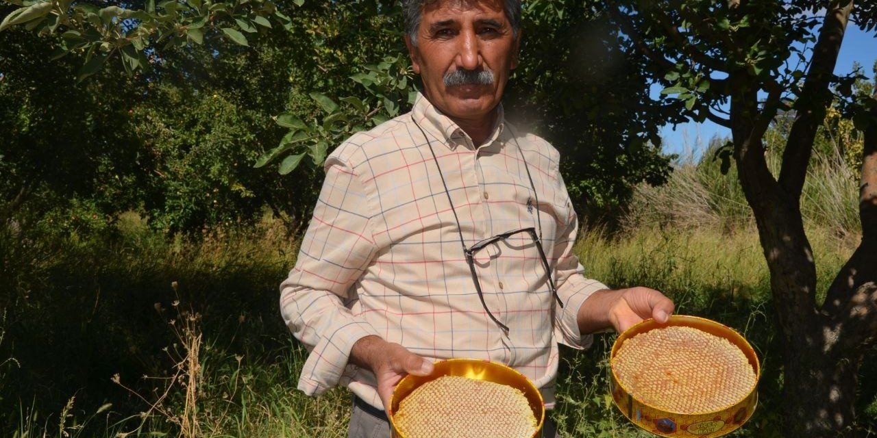 Malatya’da bal hasadı başladı