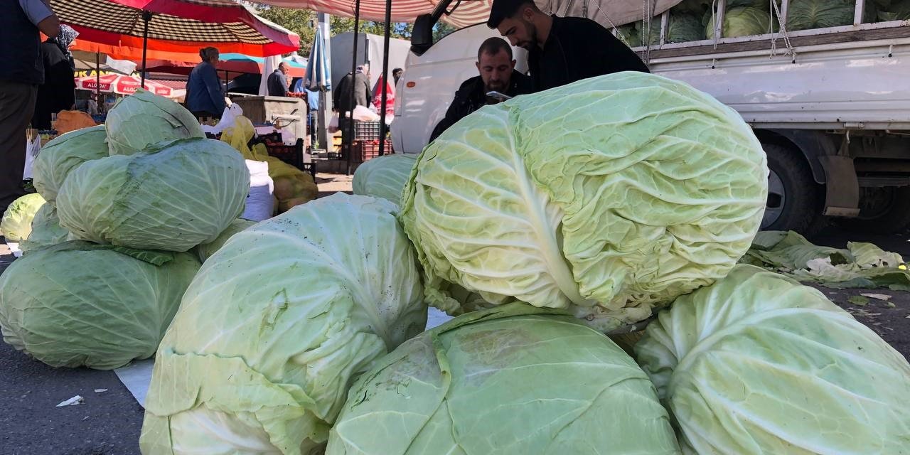 Erzincan’da turşuluk ve yemeklik lahanalar tezgahta yerini aldı