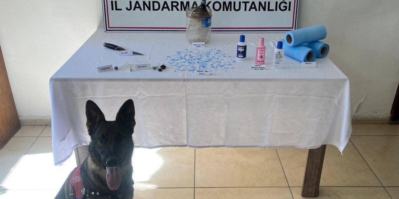 Bitlis’te jandarmadan uyuşturucu operasyonu