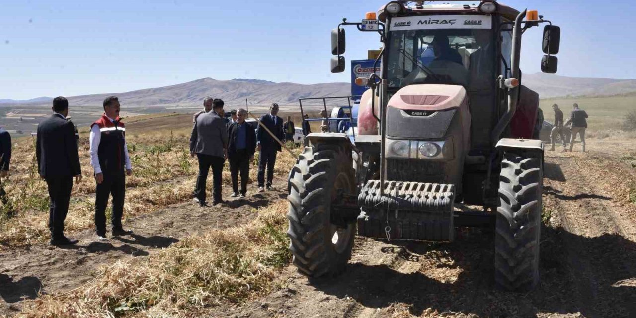 Bitlis’te kuru fasulye hasadında rekor: 37 bin ton üretim