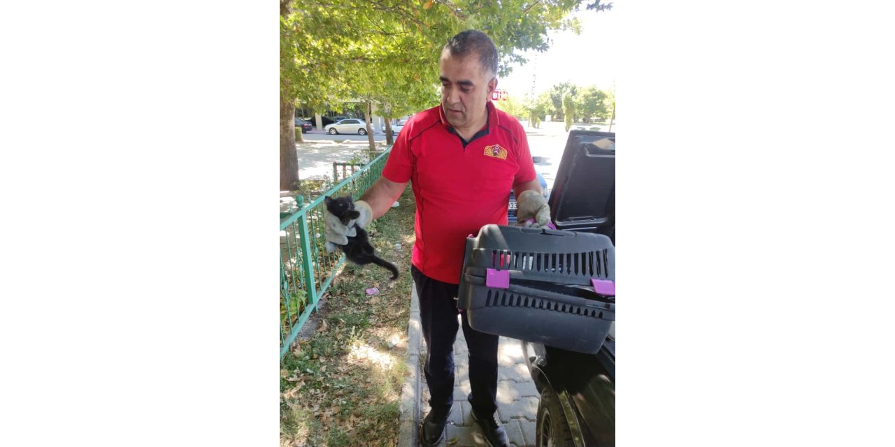 Otomobilin kaputuna sıkışan kedi kurtarıldı